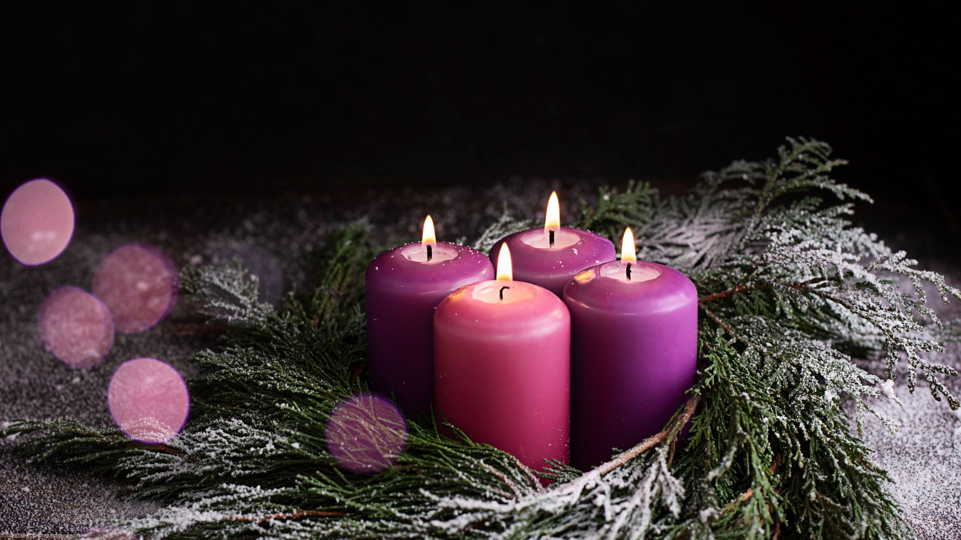 campaign for human development