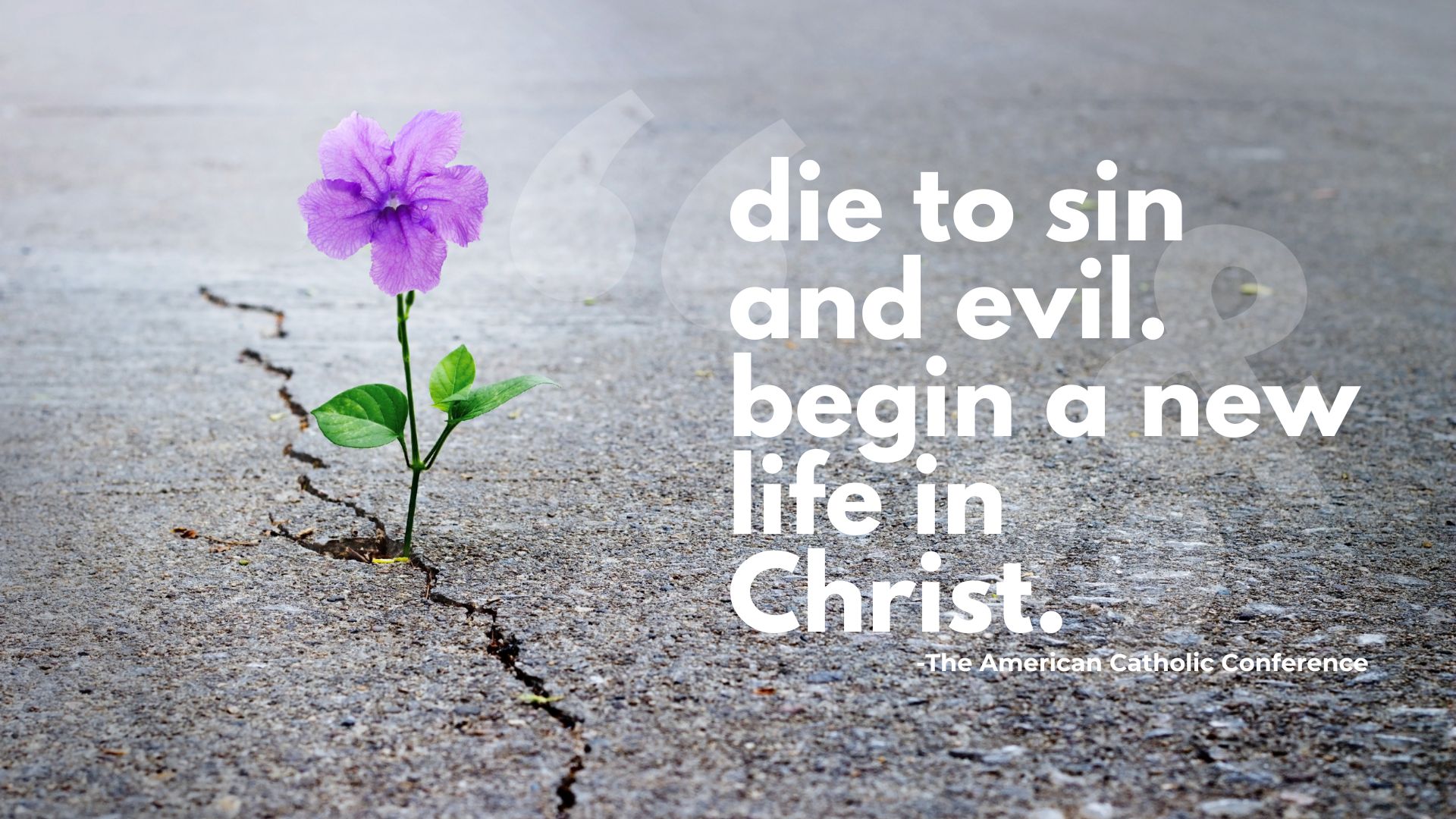 campaign for human development