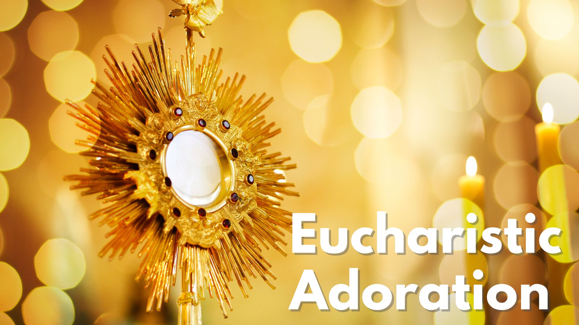 Eucharistic Adoration campaign for human development