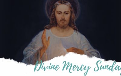 Father Nathan Homily | April 19, 2020 | Divine Mercy Sunday