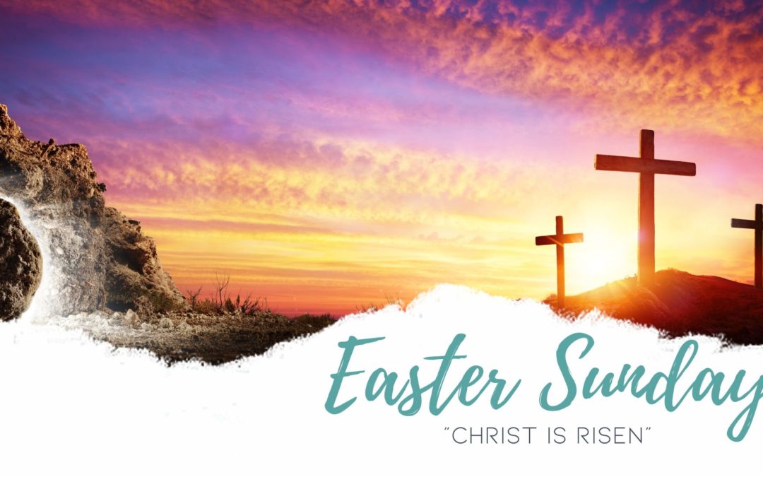 Father Nathan Homily | April 12, 2020 | Easter 2020