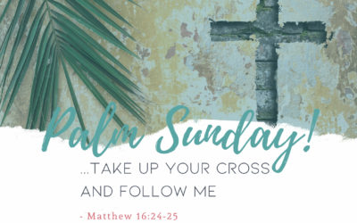 Father Nathan Homily | Palm sunday | March 28, 2021