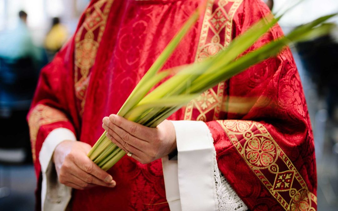 Father Nathan Homily | April 5, 2020 | Palm Sunday