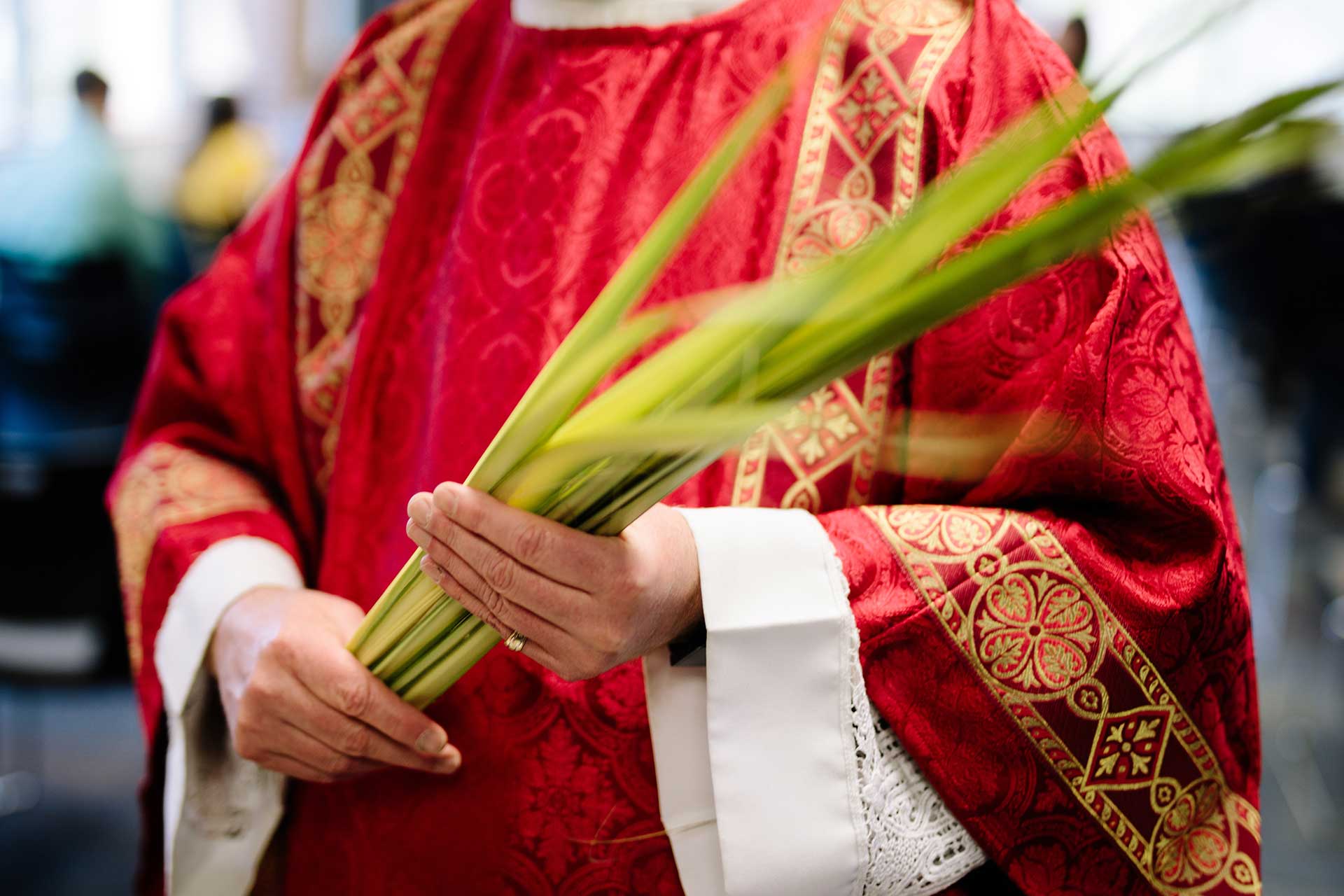 Father Nathan Homily April 5 2020 Palm Sunday St Gabriel