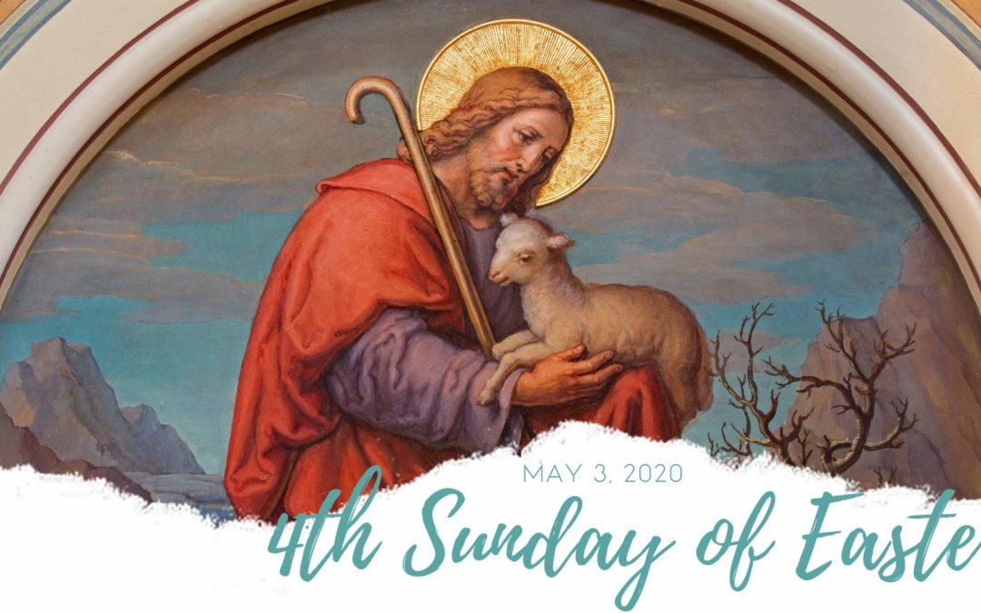 Father Nathan Homily | May 3, 2020