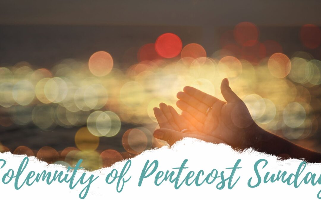 Father Nathan St Gabriel | May 31, 2020 | Pentecost Sunday