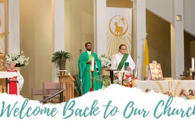 Mass Will Be Celebrated in the Church | Beginning Monday June 15