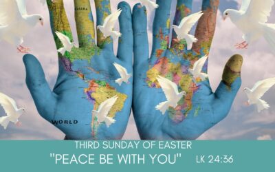 Father Nathan Homily | Third Sunday of Easter | April 18, 2021