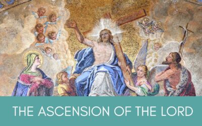 Father Nathan Homily |Seventh Sunday of Easter – Ascension | May 16, 2021