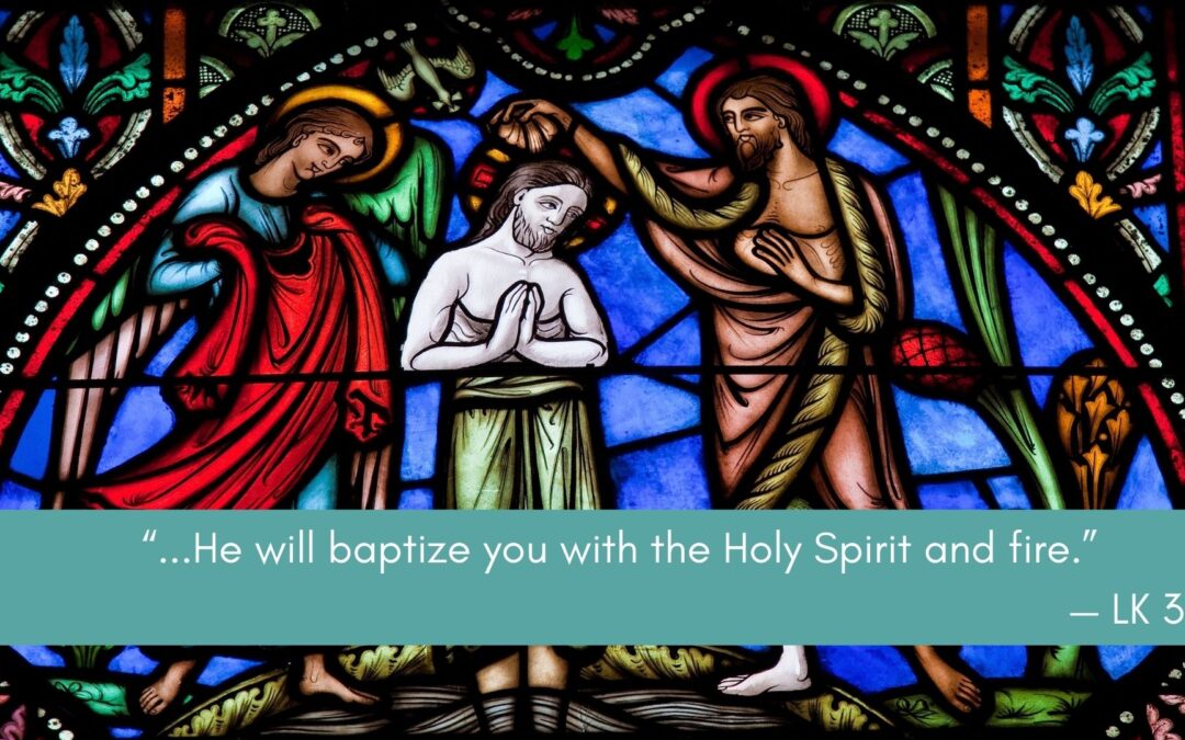 Father Nathan Homily | The Baptism of the Lord