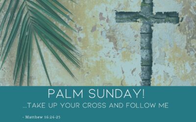 From The Desk Of Father Nathan | April 10, 2022 | Palm Sunday of the Lord’s Passion
