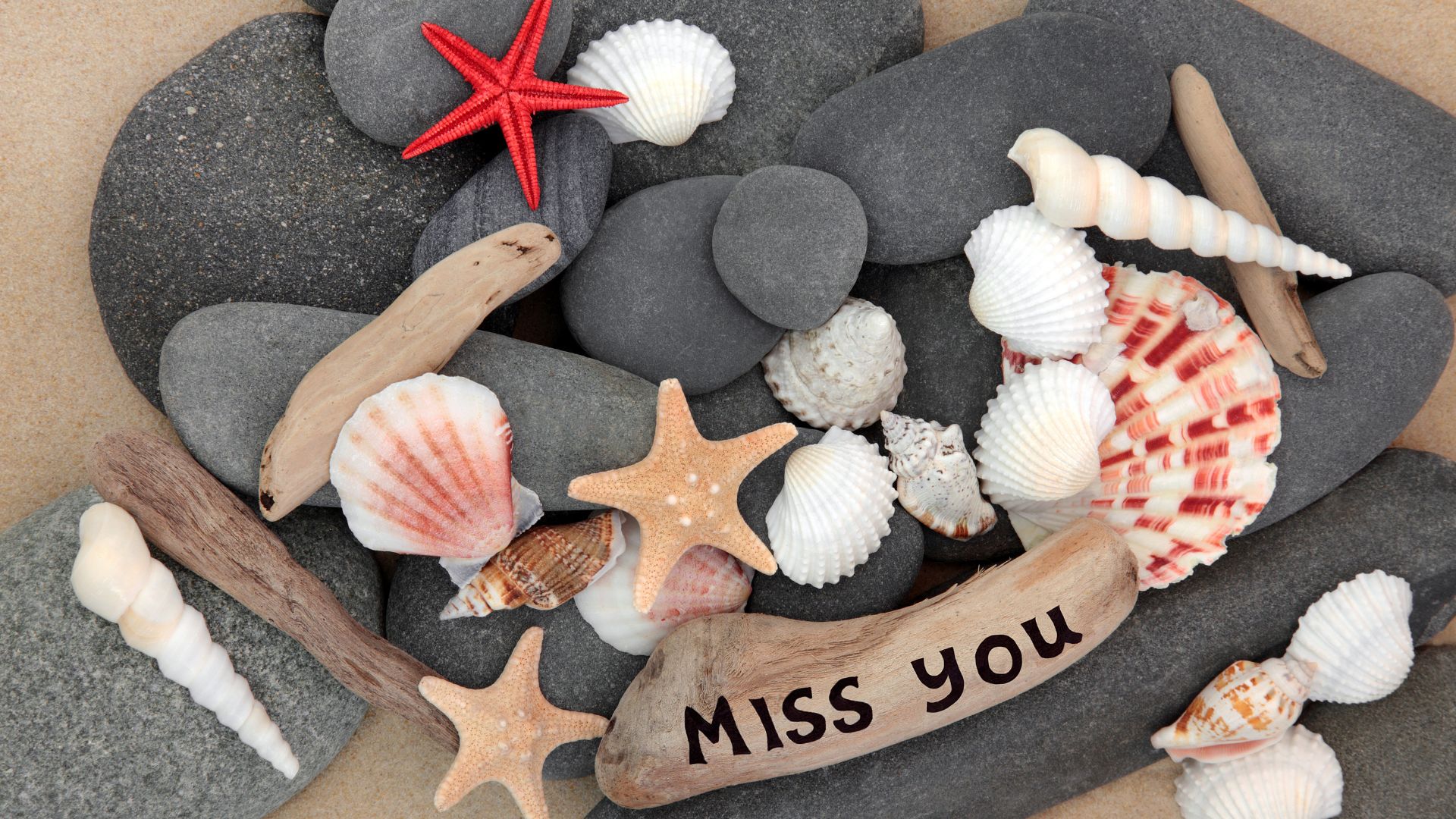 we will miss you
