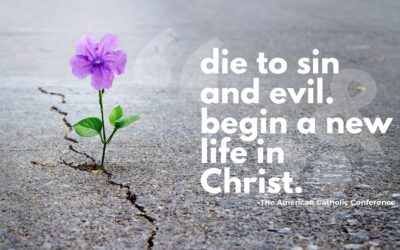 From The Desk Of Father Nathan | February 22, 2026