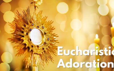From The Desk Of Father Nathan | July 19, 2026